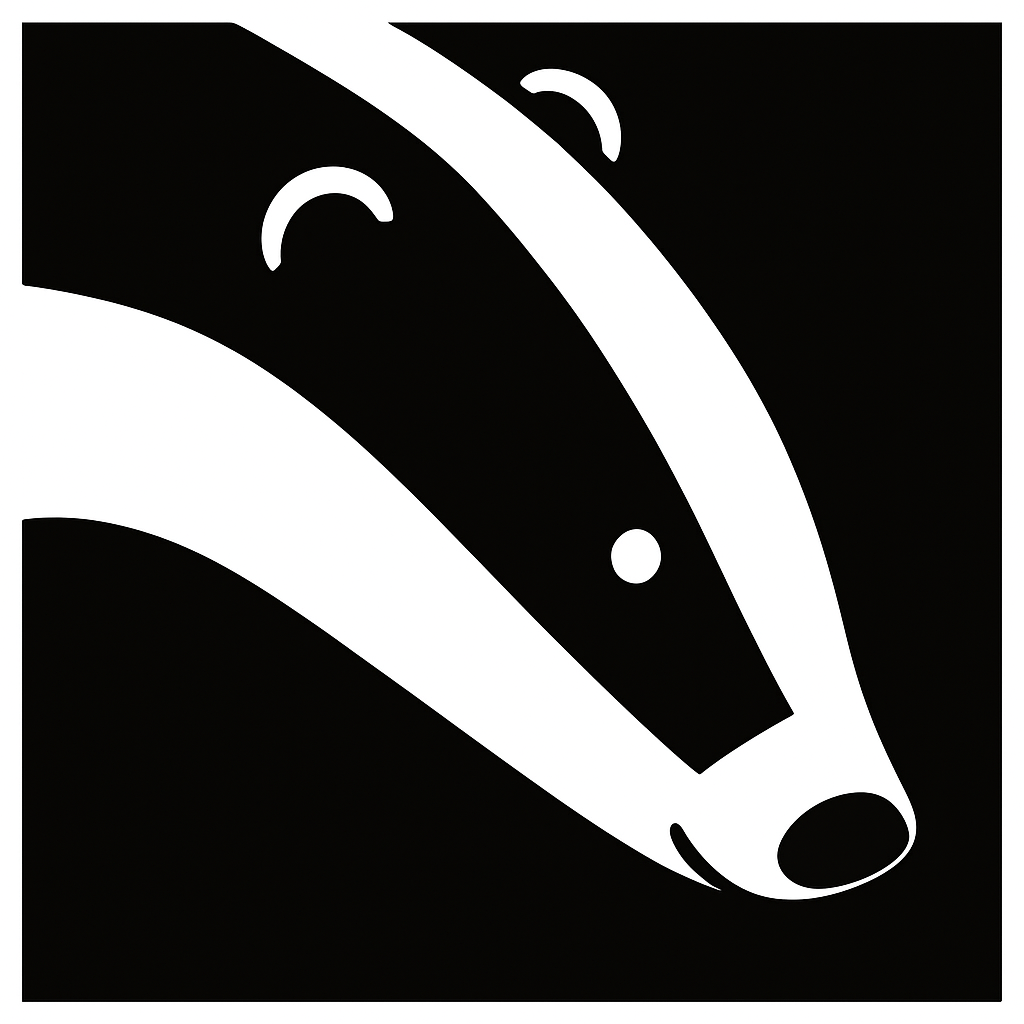 Image1 Badger Van Hire New Logo